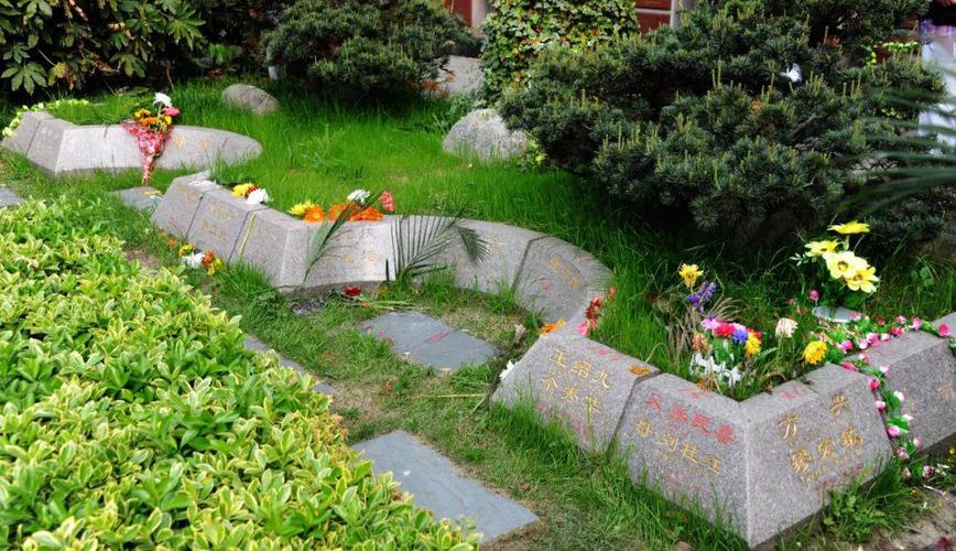 人员的水平以及服务能力来看,比较规范,他们对规范南京殡葬服务行业